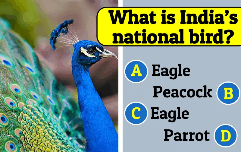 Only 1% of the World Knows India This Well – General Knowledge Quiz