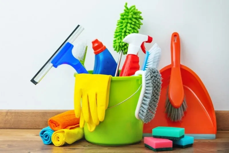Only 1 in 5 Homeowners Can Pass This House Cleaning Tools Quiz